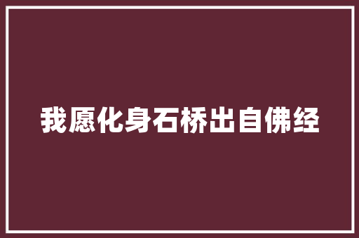 东风九座汽车引领商务出行新风尚的旗舰之作