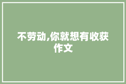 板材性价比之王：介绍哪个品牌引领行业潮流