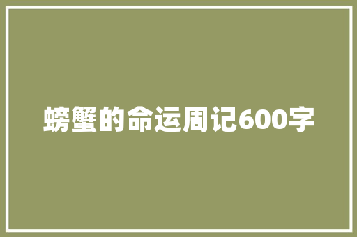 装修新篇章,介绍装修团队早晨开工的秘密