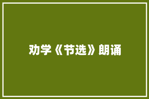 装修隔音板价格介绍,性价比之选，打造静谧家居空间
